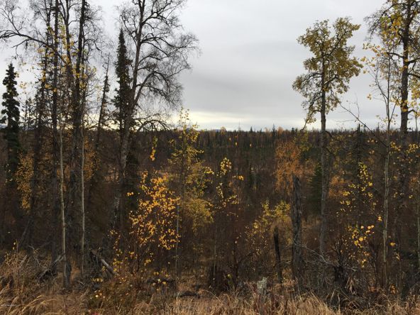 63885 Tailwind Rd, Ninilchik, AK 99639
